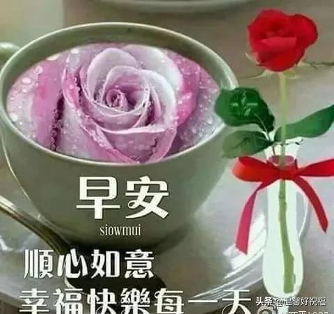 经典早安幸福慰问鲜花图片问候语，春天清晨早上好祝福语句