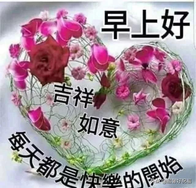 经典早安幸福慰问鲜花图片问候语，春天清晨早上好祝福语句