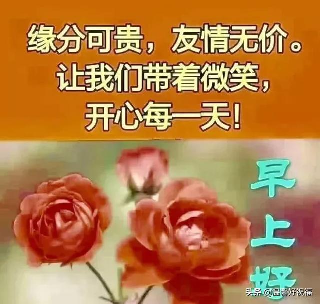 经典早安幸福慰问鲜花图片问候语，春天清晨早上好祝福语句