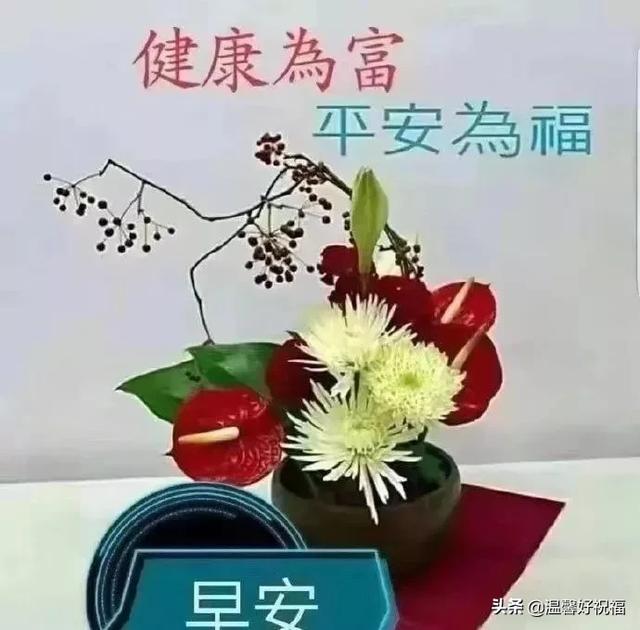 经典早安幸福慰问鲜花图片问候语，春天清晨早上好祝福语句