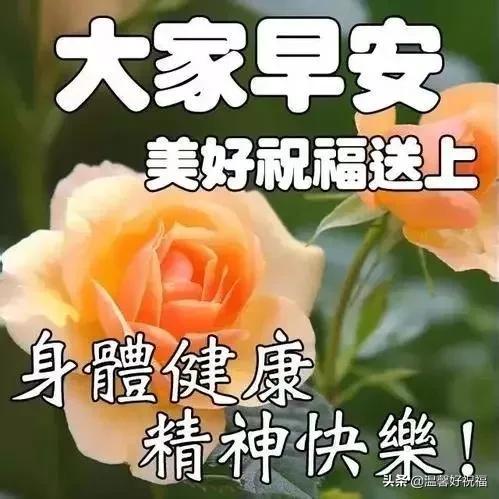 经典早安幸福慰问鲜花图片问候语，春天清晨早上好祝福语句