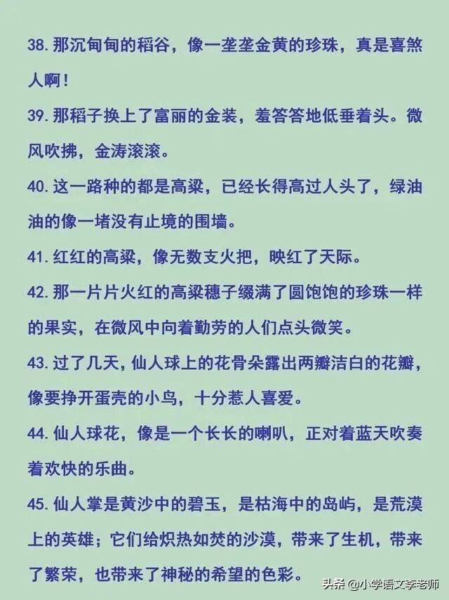 小学比喻句、拟人句、排比句、夸张句大全，快让孩子摘抄积累