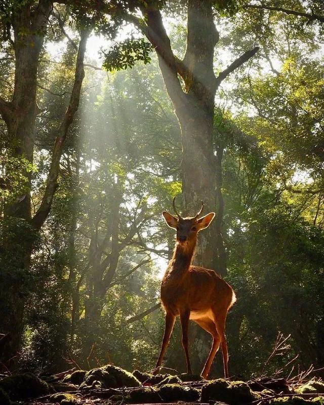 夸人专用句子，赶紧收藏