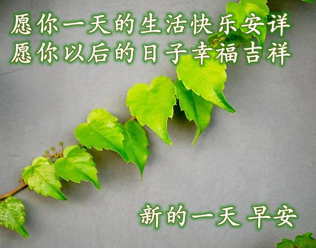 清晨致朋友的早安祝福图片 问候早安的图片