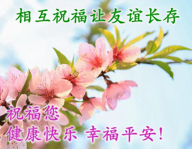 清晨致朋友的早安祝福图片 问候早安的图片