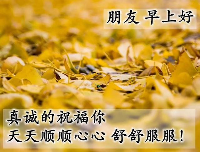 清晨致朋友的早安祝福图片 问候早安的图片