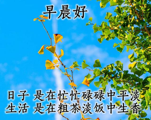 清晨致朋友的早安祝福图片 问候早安的图片