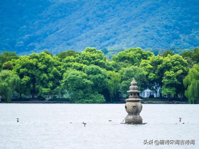 读美丽诗词，看锦绣山河