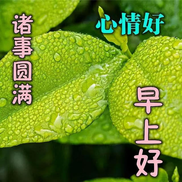 活在当下，开心就好！愿各位好友们幸福，开心快乐每一天，早安