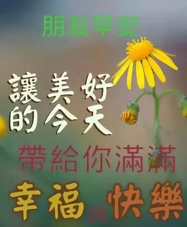 活在当下，开心就好！愿各位好友们幸福，开心快乐每一天，早安