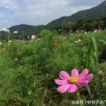 关于感悟人生的禅语语录，句句大实话（深度好文）