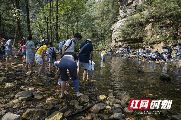 组图丨大美张家界，你我都是风景