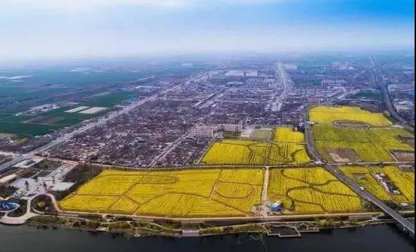 踏春赏景 | 油菜花海美如画 一沐春风万顷黄