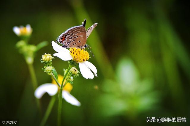 生活，平平淡淡，简简单单，不悲不喜，不惊不扰，这样就好