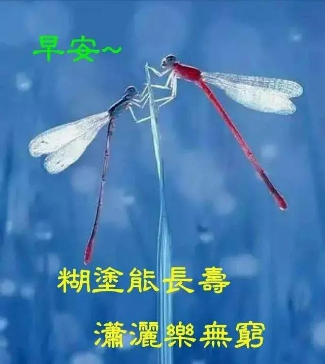 情谊是无价的，别忘了联络，多保重，早安