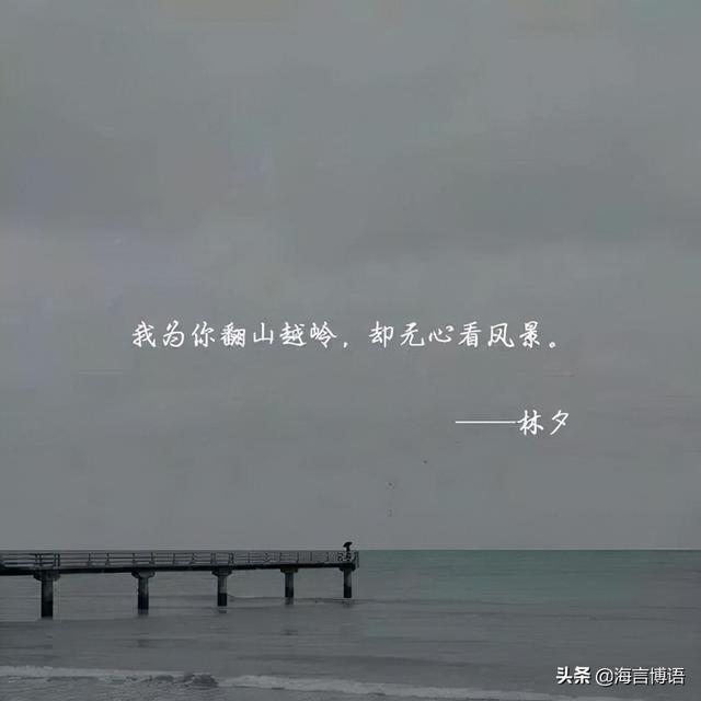 庆儿诗歌~你的柔情我不懂