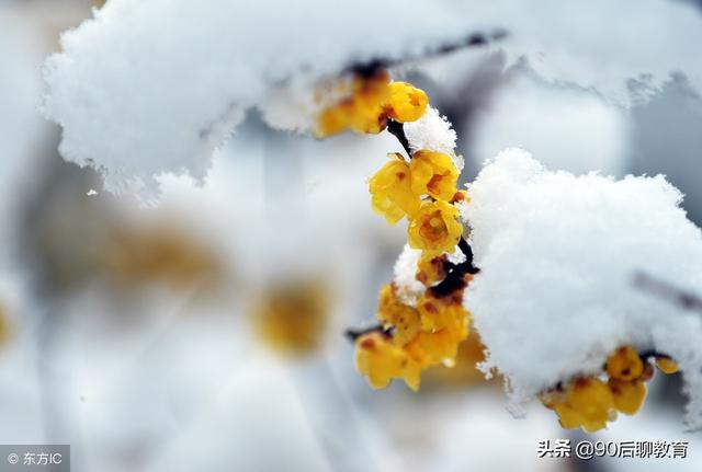 描写下雪、下雨、春节的好词、好句、好段锦集！