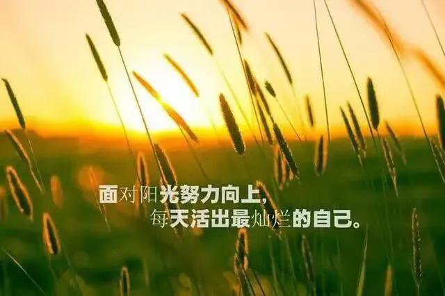 “忙”的宣言