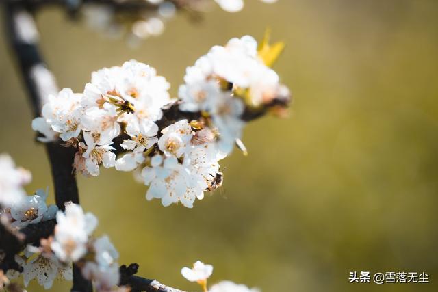 人心险恶，唯有学会说“不”，才没人敢欺负你