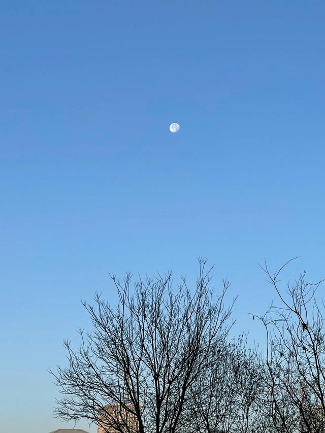 岁月熬煮沸水煎 一日三餐烹煮鲜 似水流年不经逝 种树摘桃秋果枝 元姆