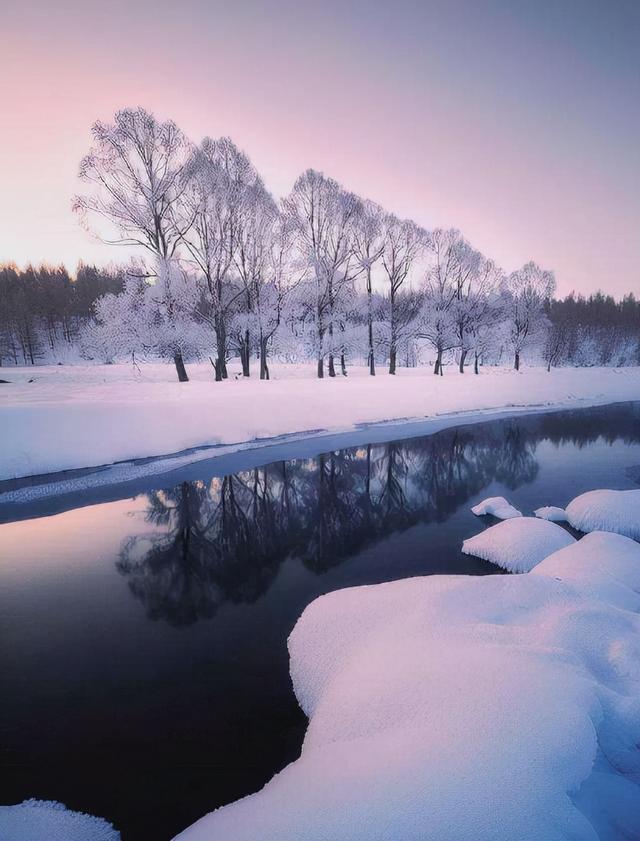 凌风知劲节 负雪见贞心，十一首寒松的诗词，傲雪凌霜松精神