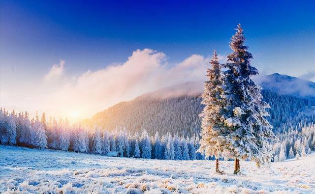 凌风知劲节 负雪见贞心，十一首寒松的诗词，傲雪凌霜松精神