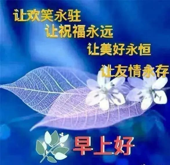 红橙黄绿青蓝紫,七彩人生各色不同;酸甜苦辣咸,五种味道各有所好