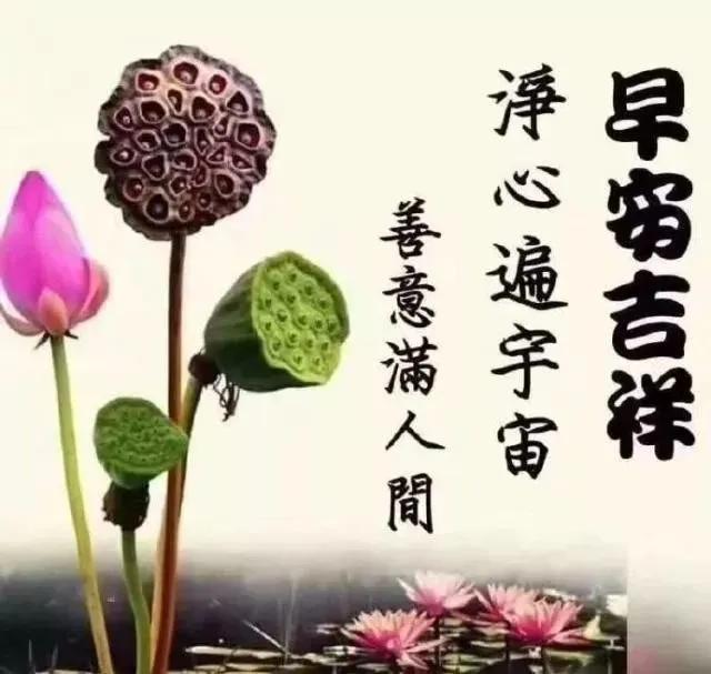 红橙黄绿青蓝紫,七彩人生各色不同;酸甜苦辣咸,五种味道各有所好