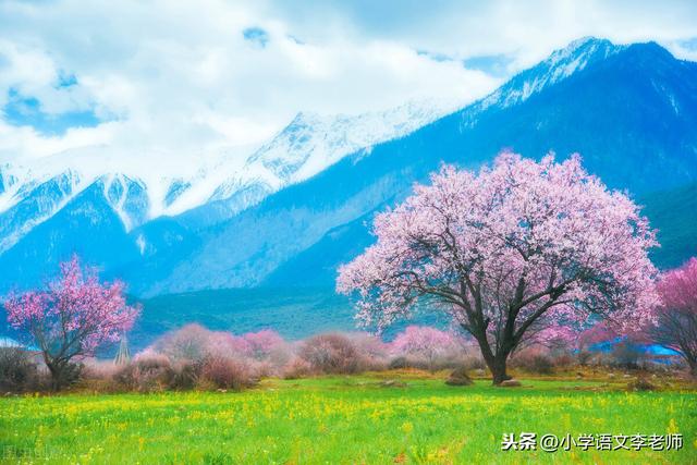 10种事物的拟人句描写，孩子掌握后可以提高作文水平