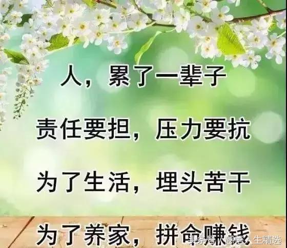 钱，难赚；情，难断；心，难懂；人，难做；命，难求