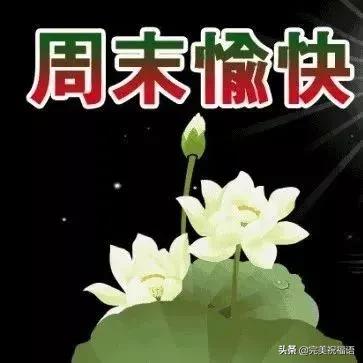 发个短信给您，愿天天神采飞扬！祝您渡过愉快的周末