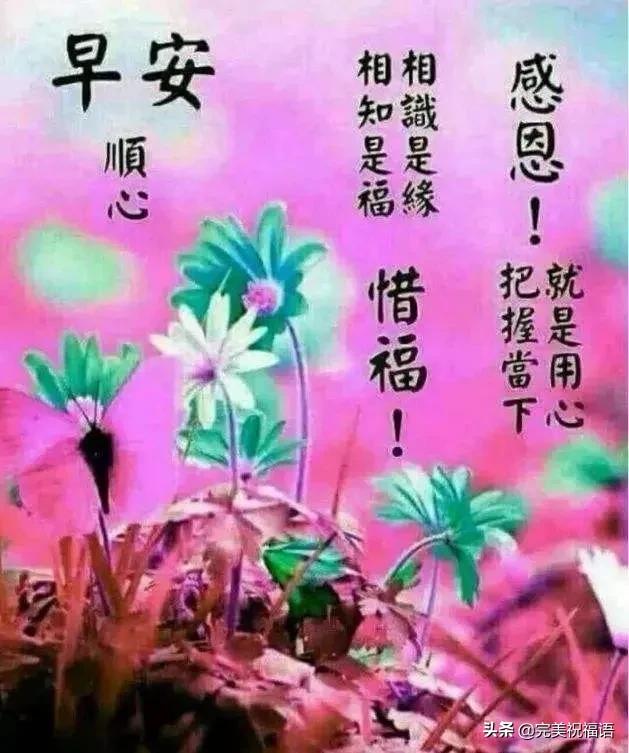 发个短信给您，愿天天神采飞扬！祝您渡过愉快的周末