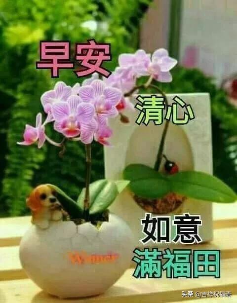 人与人，若是真诚就可交心；心与心，若是信任就可相知