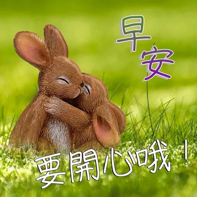 一份爱，不浓不淡，才能长久；一条路，弯弯曲曲，才能走得更远