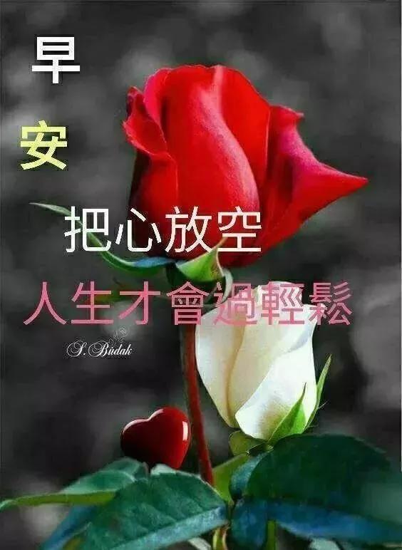 一份爱，不浓不淡，才能长久；一条路，弯弯曲曲，才能走得更远