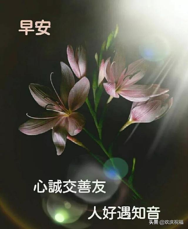 微信群早上好温馨祝福句子，祝福早上好的句子