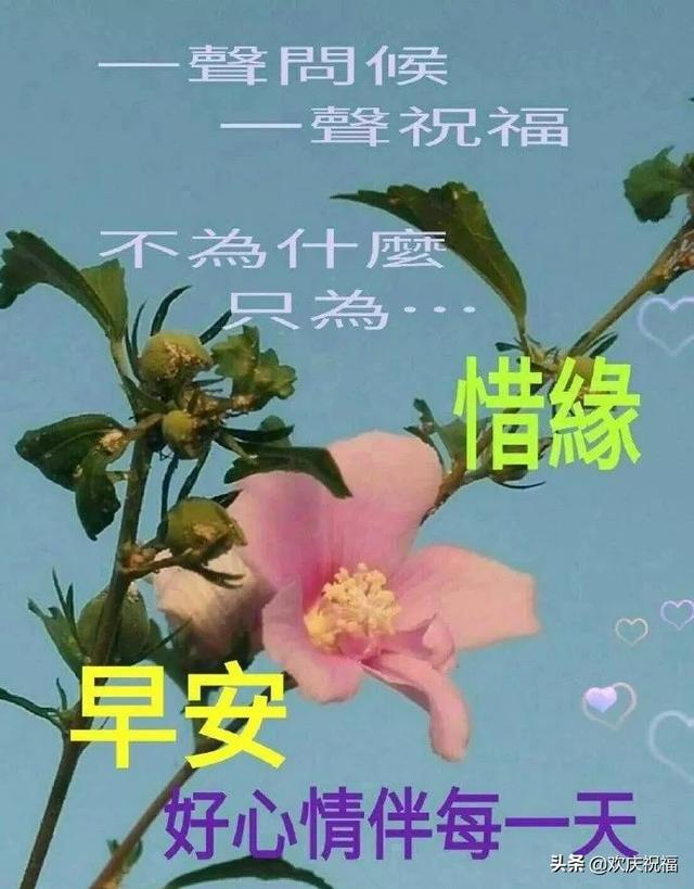 微信群早上好温馨祝福句子，祝福早上好的句子