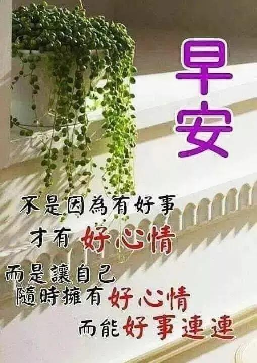 一些念，执迷不悟；一些爱，风轻云淡，早安