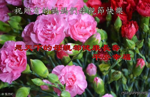 10句英语祝愿与应答，很实用