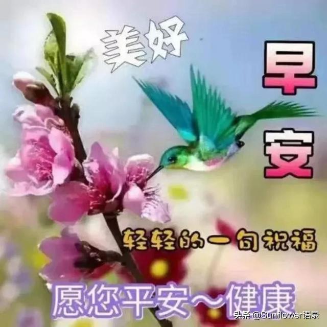 早安励志金句，把思想转化成积极的爱，学会感恩，快乐成长