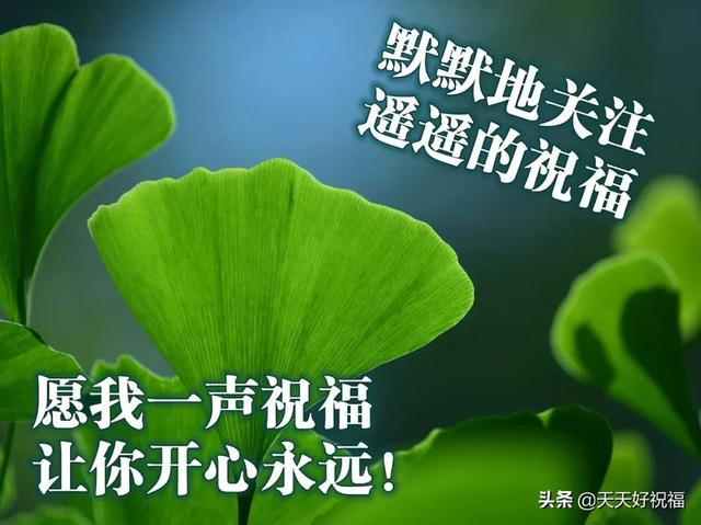 12月31日最美早上好问候图片，2021最后一天早安心语句子