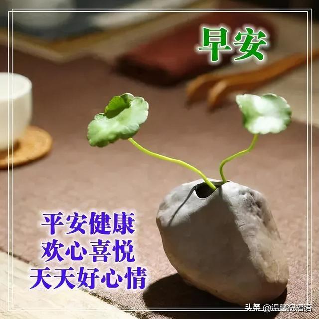 早安心语 早安祝福语表情大全