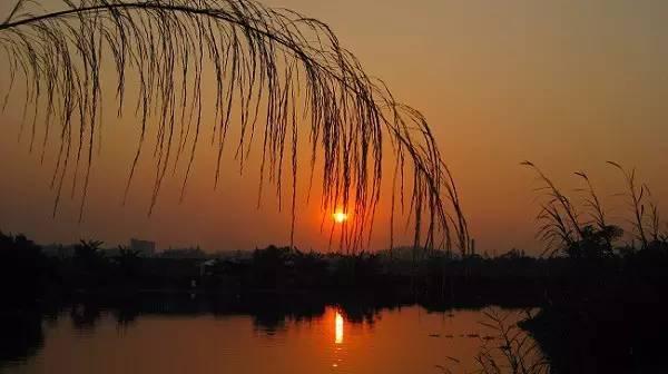 十首夕阳诗词：夕阳美如画，清风醉晚霞！