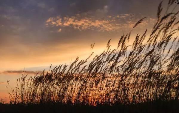 十首夕阳诗词：夕阳美如画，清风醉晚霞！