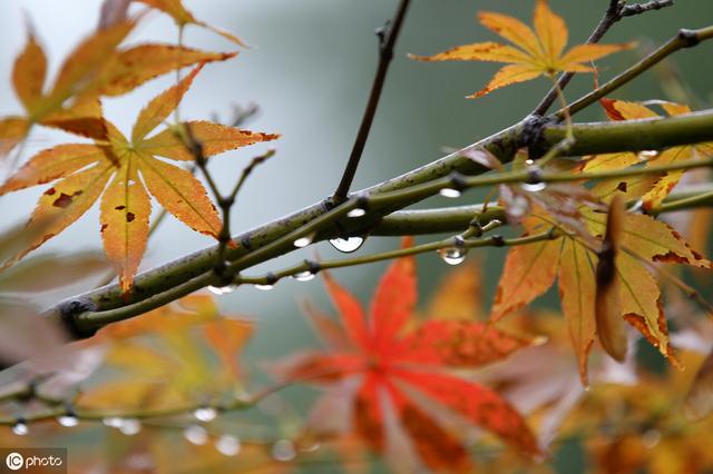 外国人说“rainy day”，你以为是“下雨天”，老外内心是崩溃的