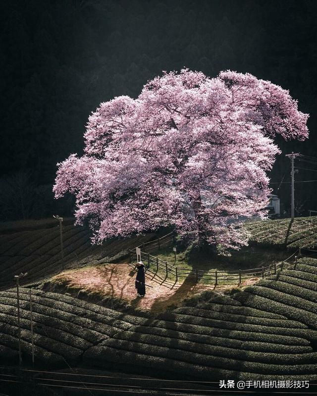 这些照片上的美景你去过几个？好想疫情赶快结束，都玩一遍