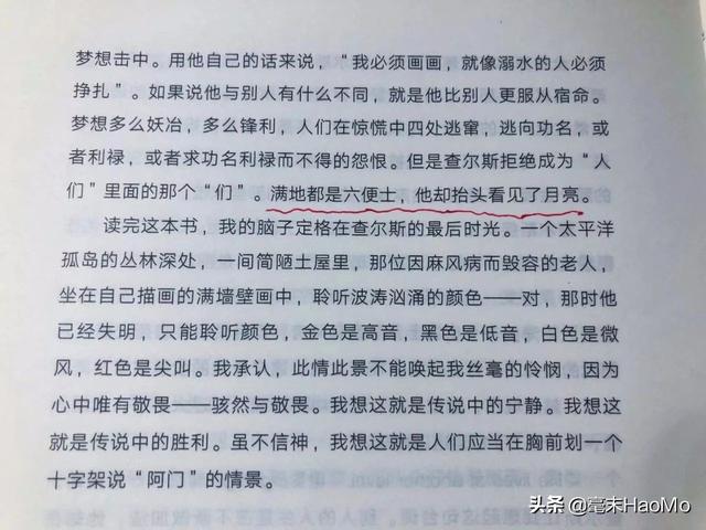 最近喜欢的10句文案丨且将新火试新茶，诗酒趁年华