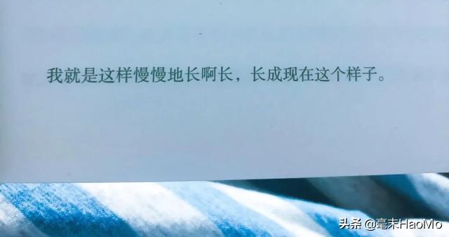 最近喜欢的10句文案丨且将新火试新茶，诗酒趁年华