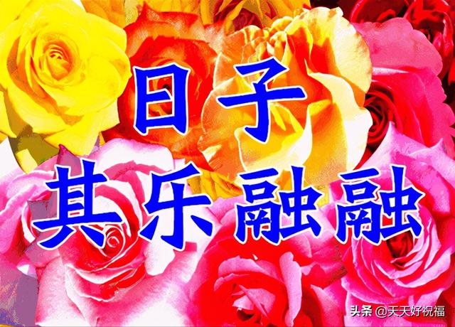 早安，今天是11月19日，愿你：家庭幸福久久，事业顺利久久