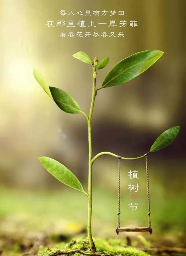 3.12植树节，关于“种树”的古诗词，你都知道哪些？